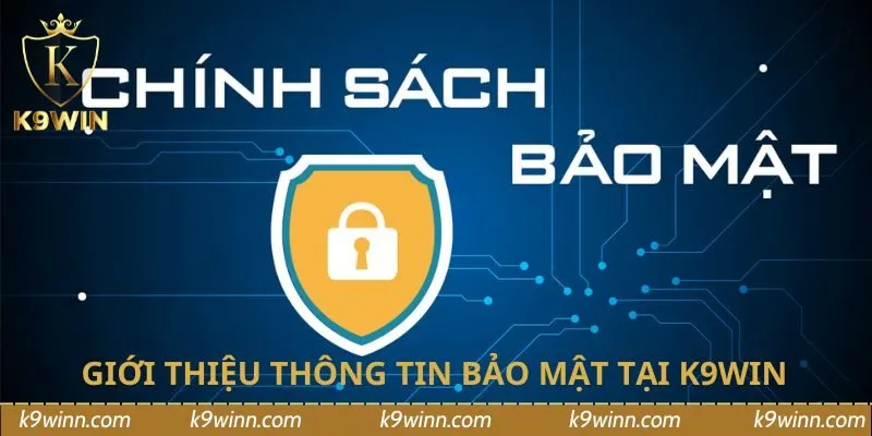 Giới thiệu thông tin bảo mật tại K9WIN 